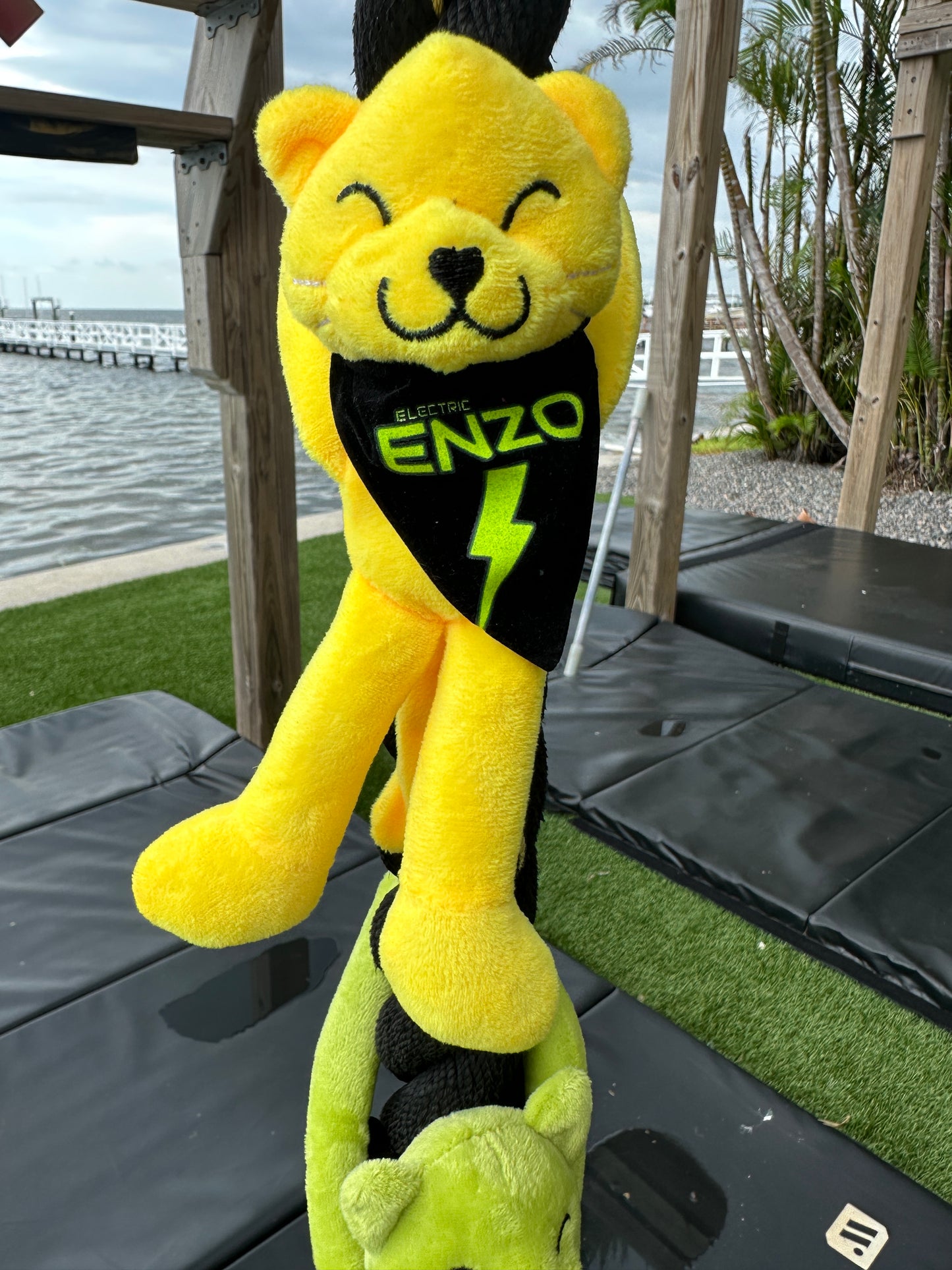 Enzo Cat Stuffed Animal