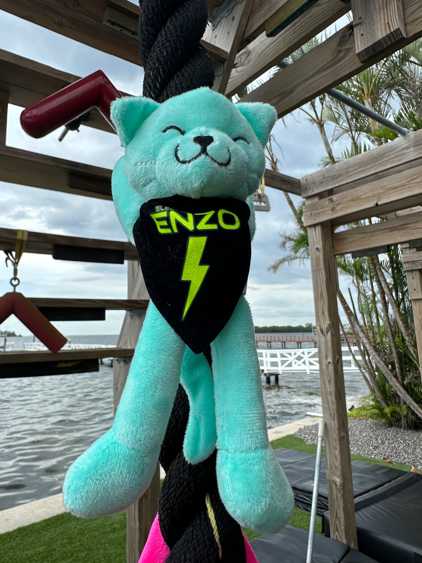 Enzo Cat Stuffed Animal